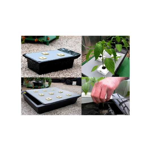 Sistema NFT - Gro-Tanks 424