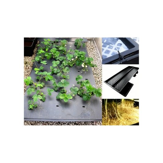 Sistema NFT - Multi-Ductos 100