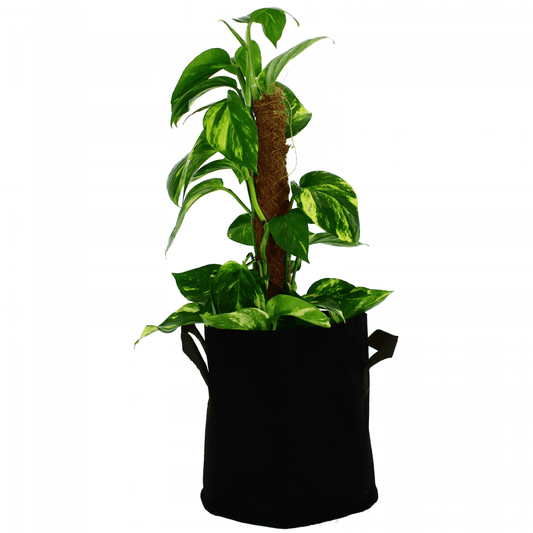 Terre/hydro/coco Greencube - Pot géotextile 75 litre