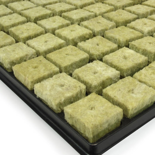 cube de laine de roche Grodan - Plateau de 77 bouchons de laine de roche