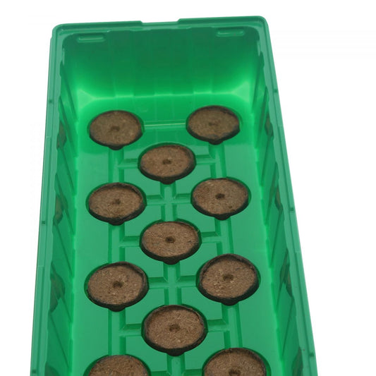 mini serre Mini serre avec 20 pastilles de fibre de Coco