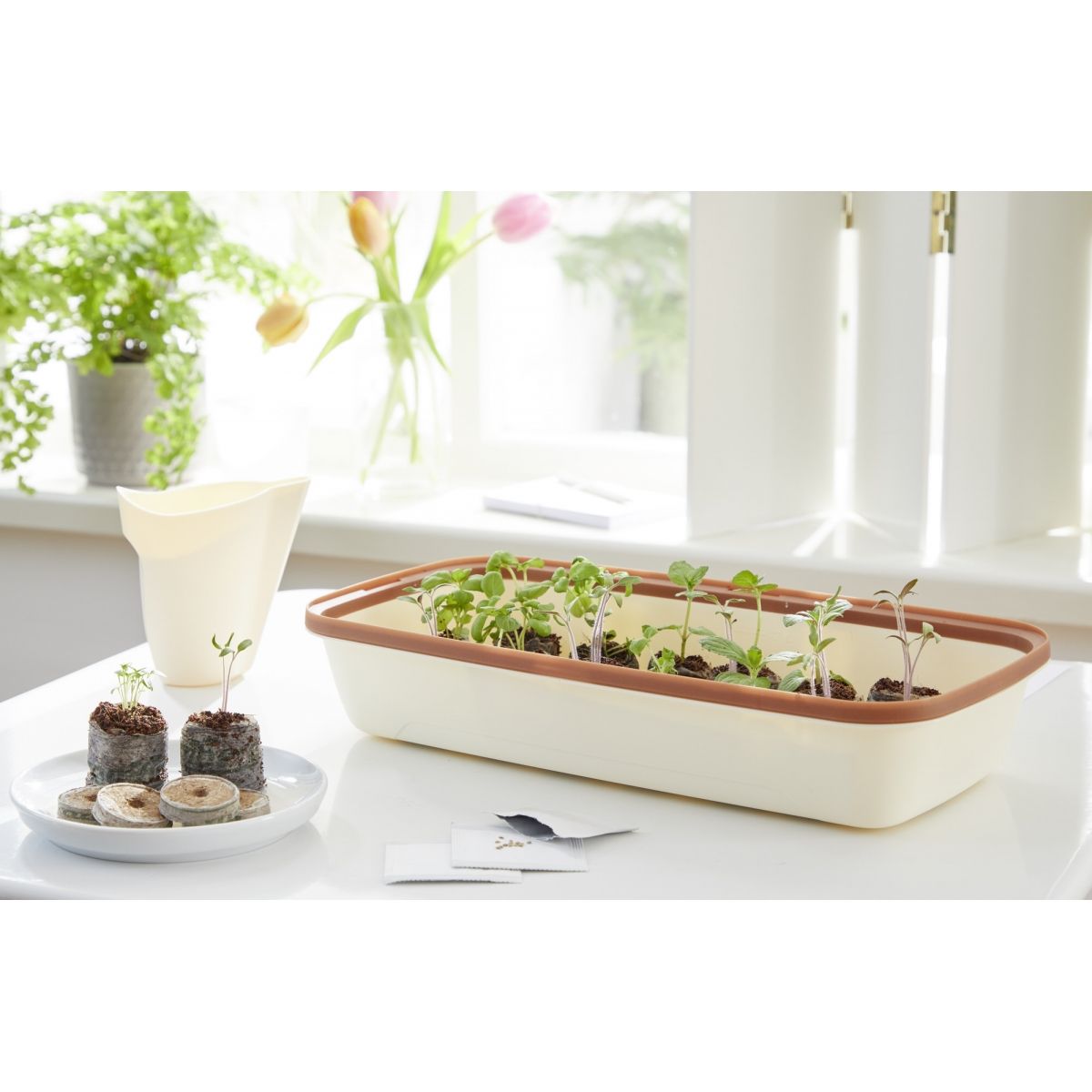 mini serre Mini serre BoQube 28x13x12cm - crème cuivré