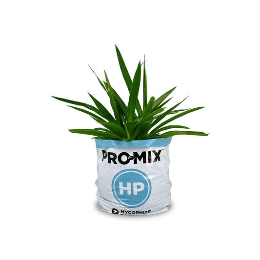 Plante cultivée dans un sac de culture PRO-MIX HP prêt à l'emploi