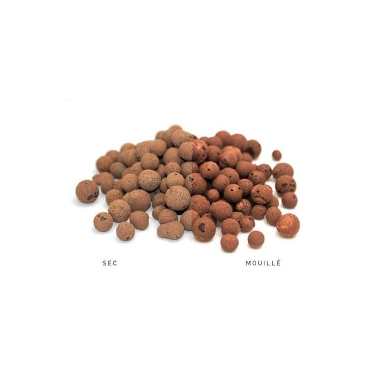 Bille d'argile Secret Vert - Billes d'argile 8/16 - 40 Litres