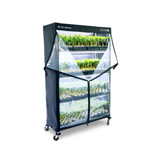 Dôme de propagation mobile Athena VPDome rempli de semis sur plusieurs niveaux, parfait pour boutures et germination en environnement contrôlé.