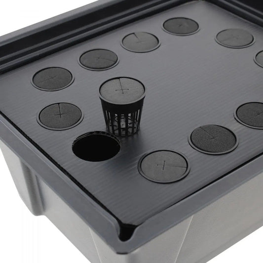 hydroponique X-Stream 12 - Propagateur aéroponique pour 12 plantes