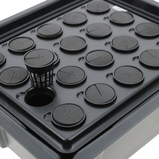 hydroponique X-Stream 20- Propagateur aéroponique pour 20 plantes