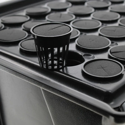 hydroponique X-Stream 40- Propagateur aéroponique pour 40 plantes