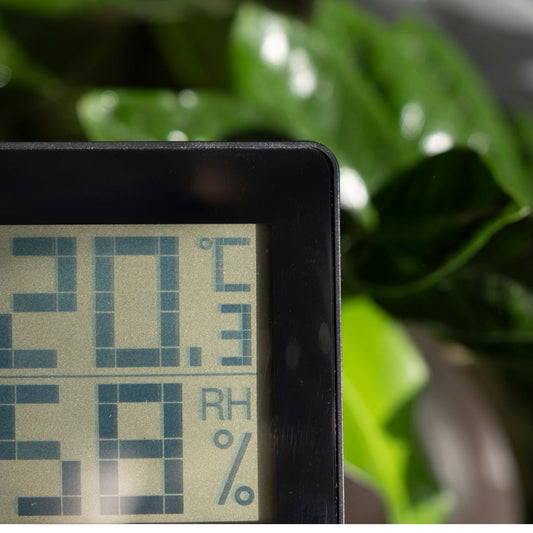 Image montrant un thermomètre-hygromètre posé sur une table, avec des plantes en pot en arrière plan