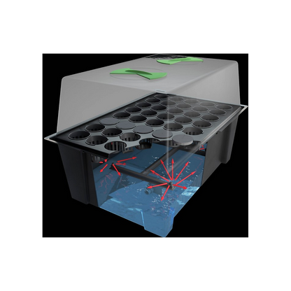 X-Stream 120 - Propagateur aéroponique pour 120 plantes