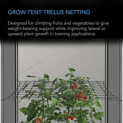 Filet de palissage pour tente de culture avec plantes