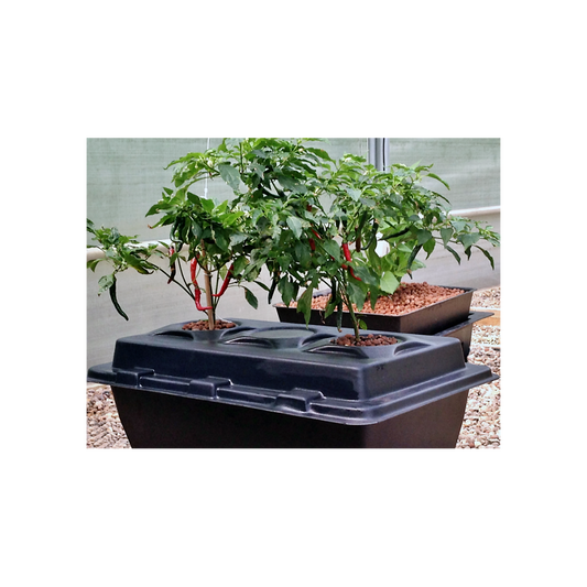 Sistema DWC Oxypot XL