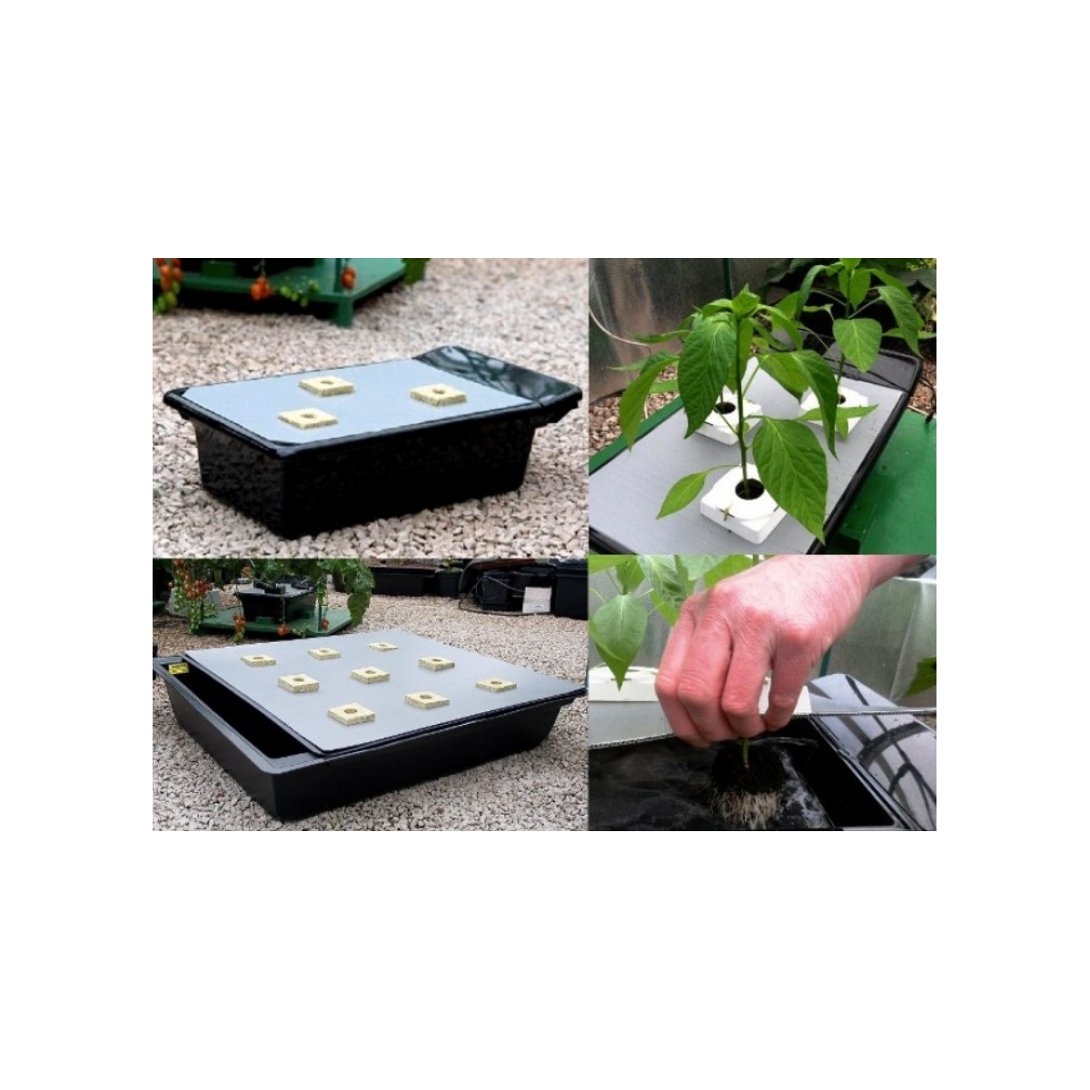 Système NFT - Gro-Tanks 604