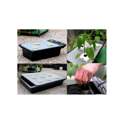 Système NFT - Gro-Tanks 604