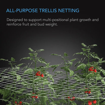 Filet de palissage AC Infinity, soutien pour plantes et fruits