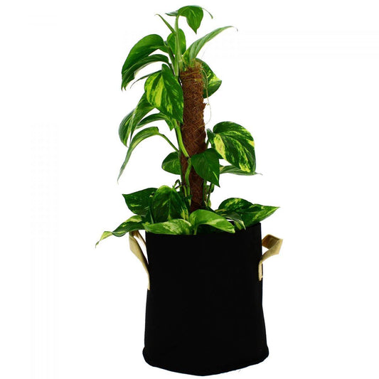 Terre/hydro/coco Greencube - Pot géotextile 20 litres