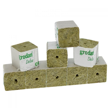 cube de laine de roche Grodan DELTA 40mm - 40/40 - À la pièce