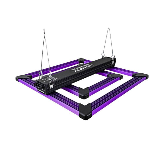 Lampe de culture LED Lumatek ATS 200W Pro d'occasion suspendue, structure violette et noire, idéale pour serre intérieure.