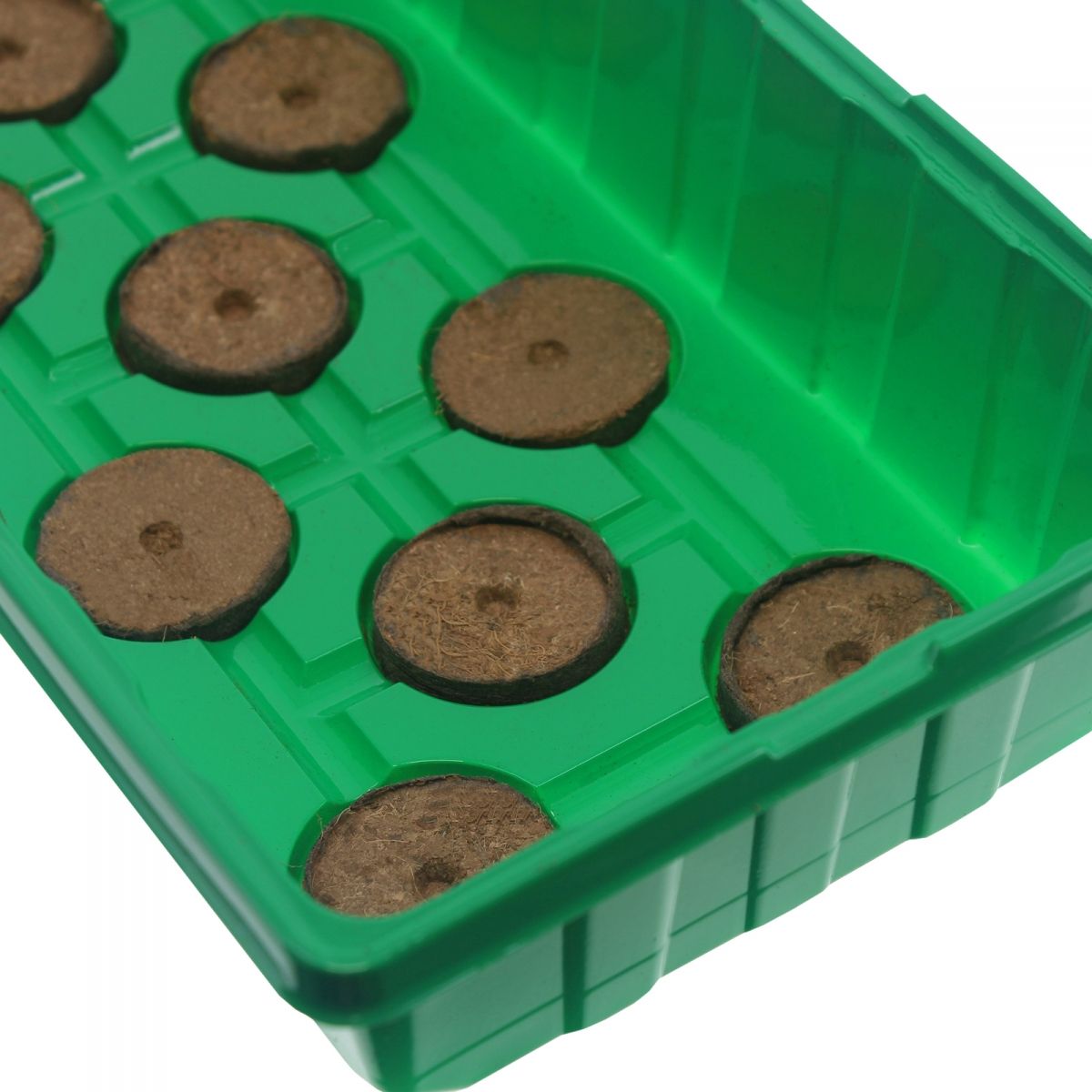 mini serre Mini serre avec 20 pastilles de fibre de Coco