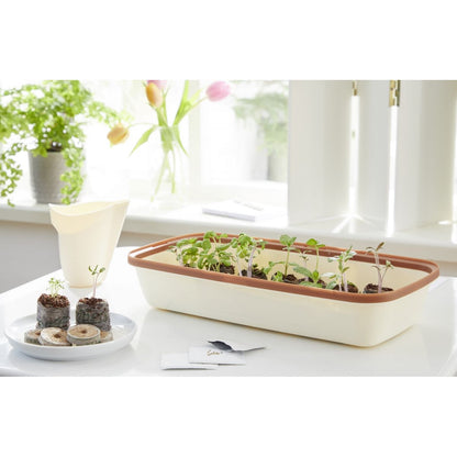 mini serre Mini serre BoQube 28x13x12cm - crème cuivré