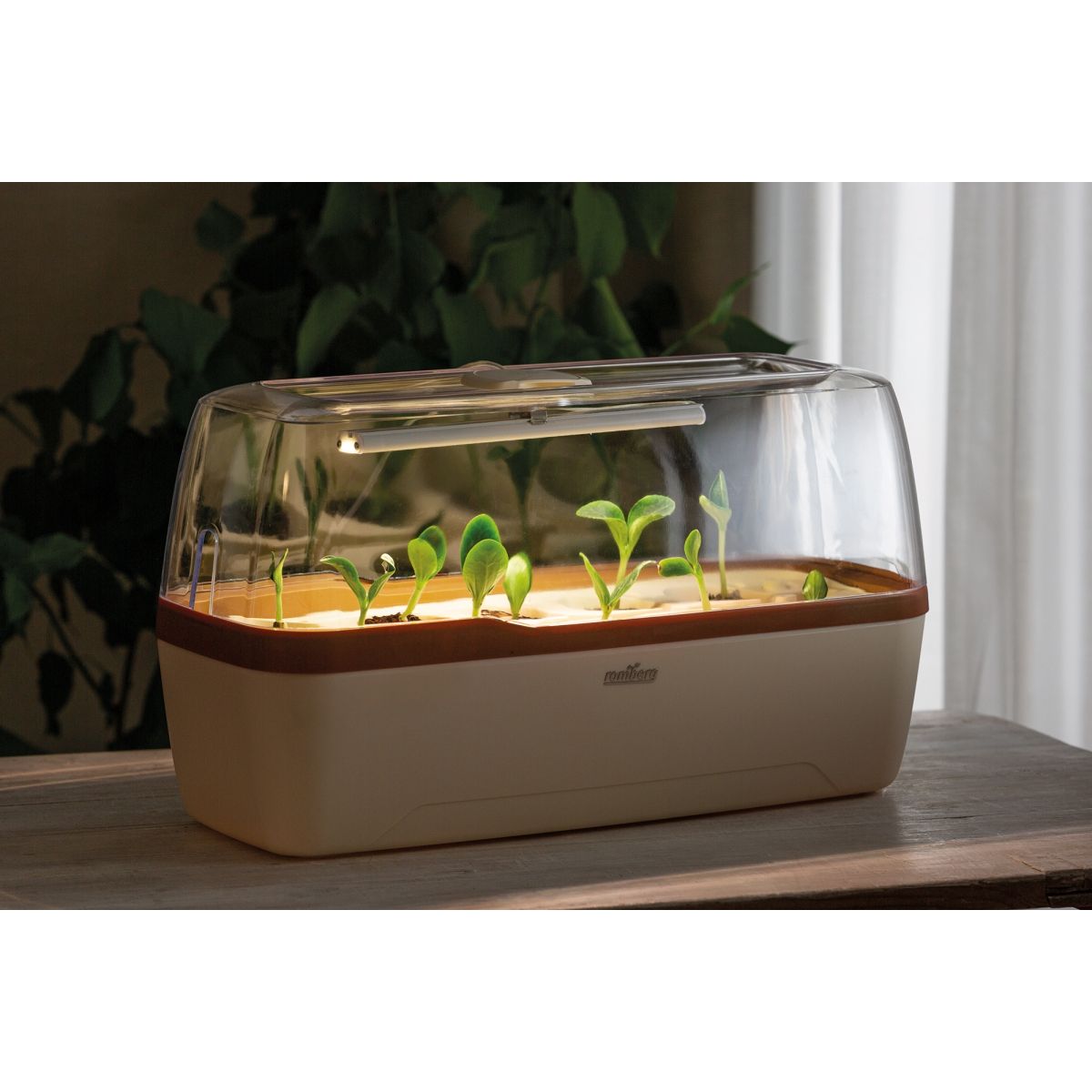 mini serre Mini serre BoQube LED 5W - 41x17x23cm - crème cuivré