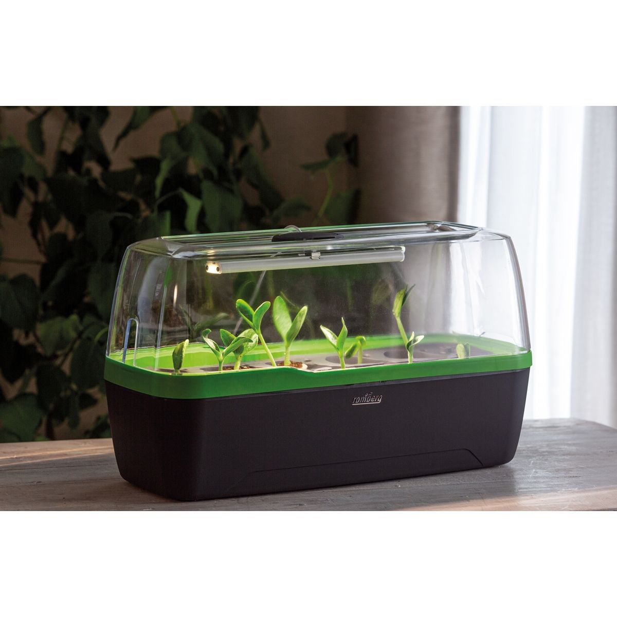 mini serre Mini serre BoQube LED 5W - anthracite vert - 41x17x23cm