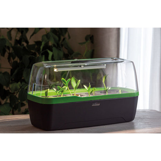 mini serre Mini serre BoQube LED 5W - anthracite vert - 41x17x23cm