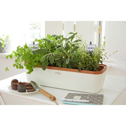 mini serre Mini serre & jardinière BoQube L Plus - 41x17x23cm   - crème cuivré