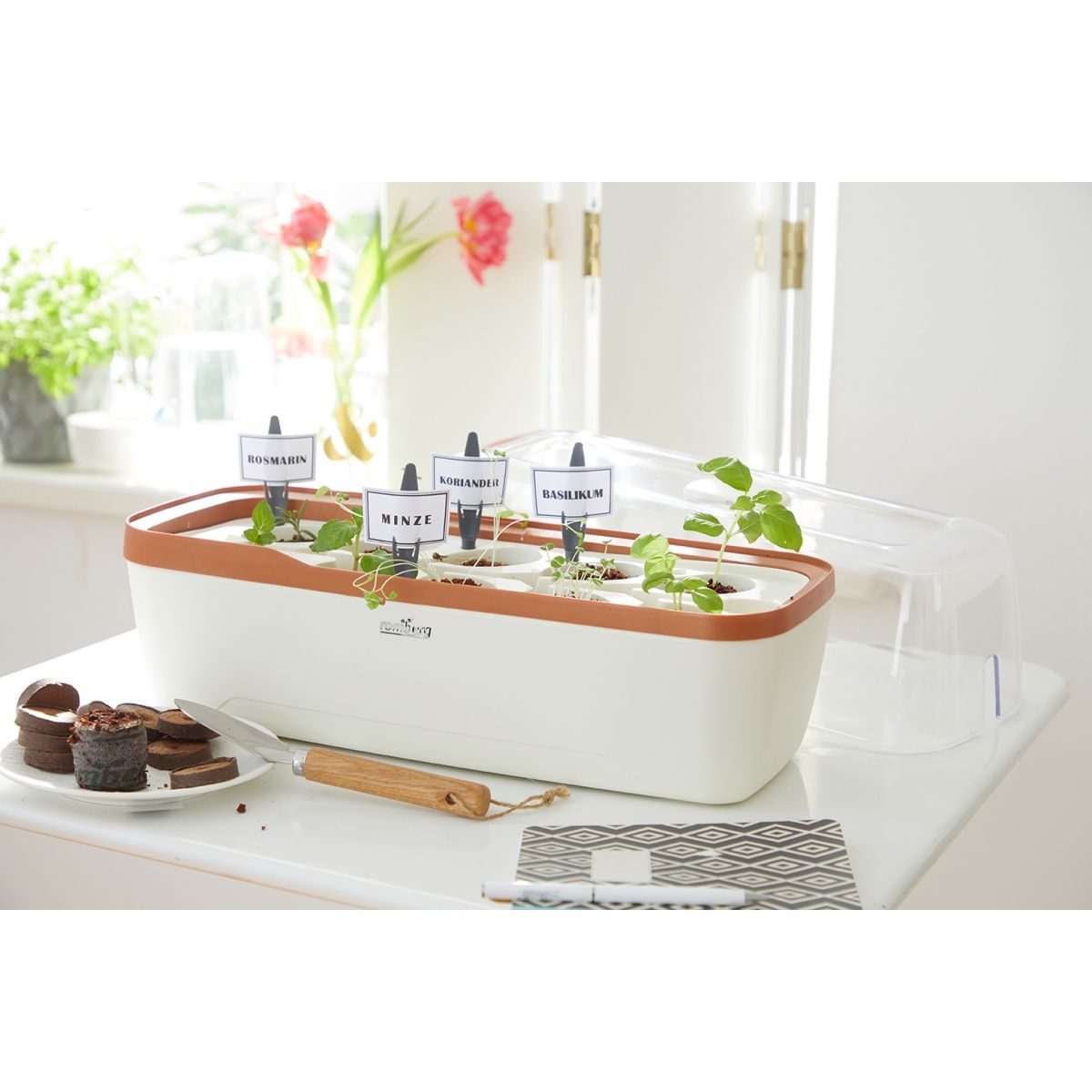 mini serre Mini serre & jardinière BoQube L Plus - 41x17x23cm   - crème cuivré