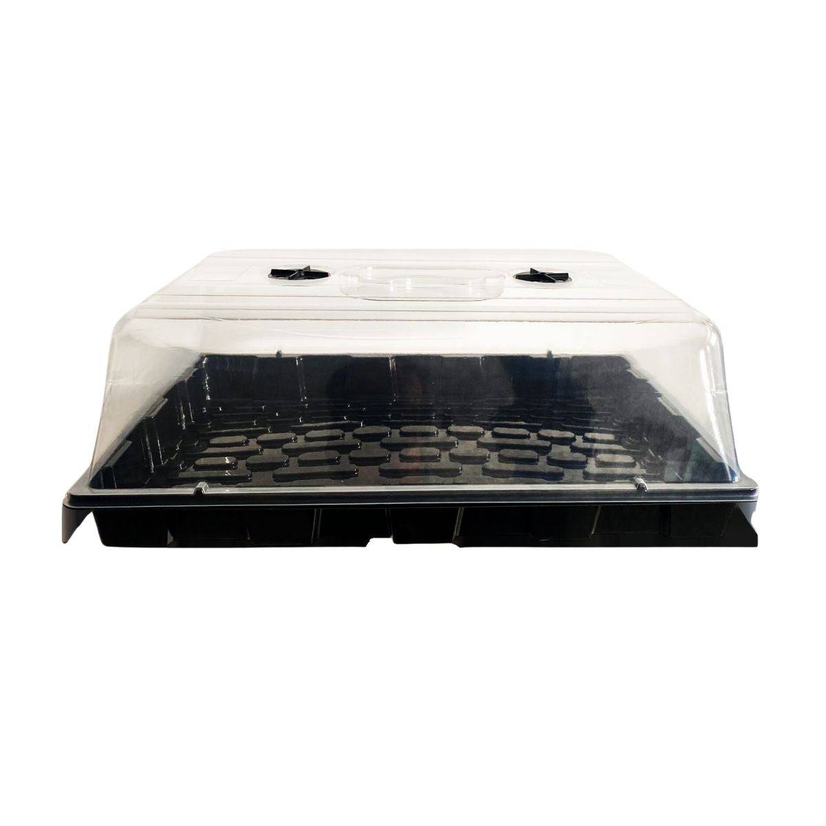 Propagateur 59x39x21 cm vu de face, avec plateau noir et couvercle en plastique transparent pour maintenir chaleur et humidité des semis.