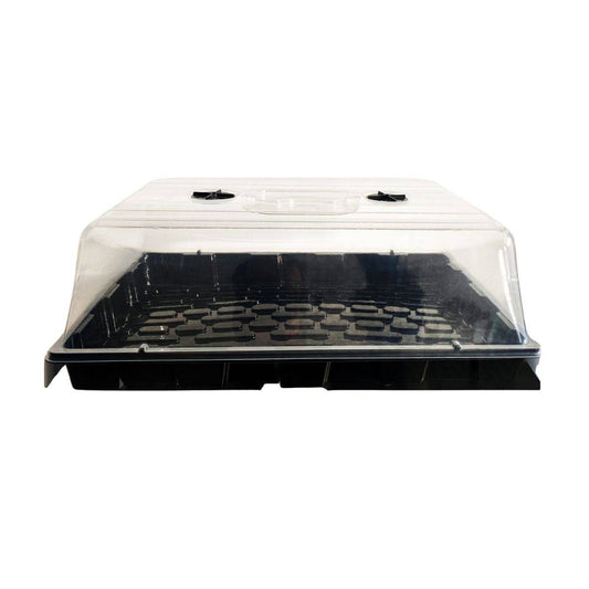 Propagateur 59x39x21 cm vu de face, avec plateau noir et couvercle en plastique transparent pour maintenir chaleur et humidité des semis.