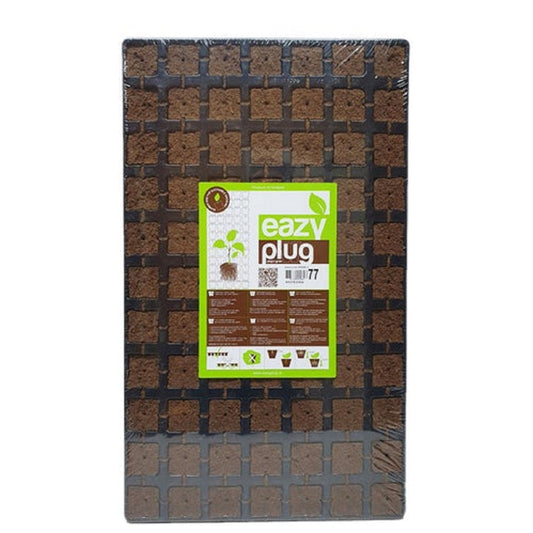 Eazy Plug plateau de cubes à germination 77 Pcs