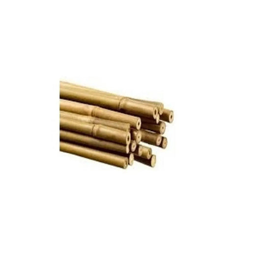 Tuteurs en Bambou 120cm 25 Pcs